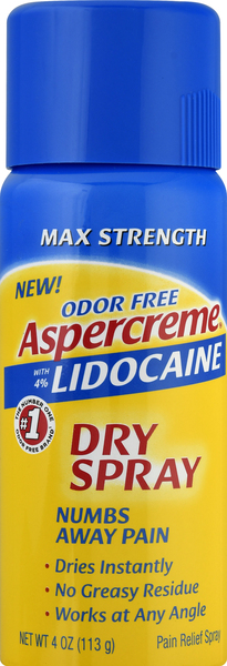 Aspercreme Pain Relief Spray, Dry, Max Strength, Odor Free