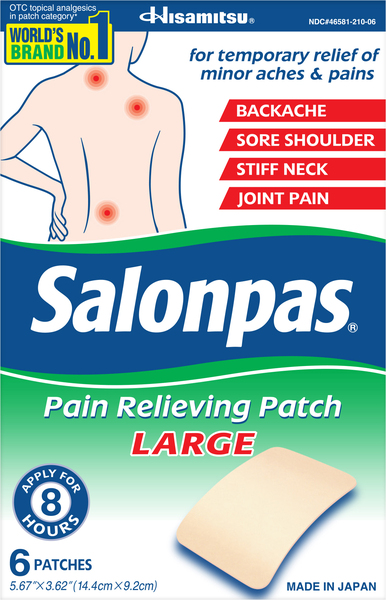 Salonpas Pain Relieving Patch, Large