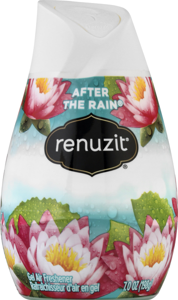 Renuzit Air Freshener, After the Rain, Gel
